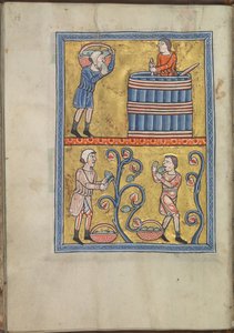 Kalenteri, syyskuu, miehet poimivat ja polkevat viinirypäleitä - Akvitanian Eleanorin psalttari (n. 1185) - KB 76 F 13, folium 009v. tekijältä Unbekannt