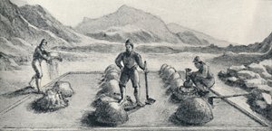 Cancha De Beneficiar eli kullan ja hopean yhdistämismuoto, c1826, 1911 tekijältä Unbekannt