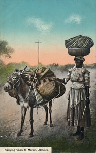 Hiilen kuljettaminen markkinoille, Jamaika, 1900-luvun alku. tekijältä Unbekannt