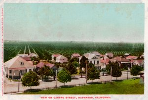 Castro Street, Hayward, Kalifornia, 1905 tekijältä Unbekannt