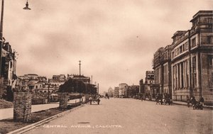 Central Avenue, Calcutta, c1900 tekijältä Unbekannt