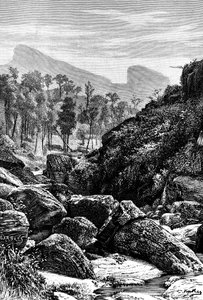 Ceylon Sri Lanka, 1895 tekijältä Unbekannt