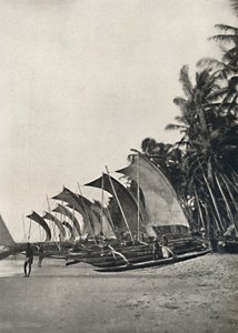 Ceylonin tukijalat merikalastusveneet, 1926 tekijältä Unbekannt
