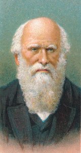 Charles Darwin 1809-1882, brittiläinen luonnontieteilijä, 1924 tekijältä Unbekannt