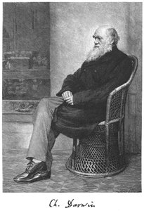 Charles Darwin, englantilainen luonnontieteilijä, 1883 tekijältä Unbekannt