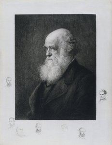 Charles Darwin, englantilainen luonnontieteilijä, n. 1860-luku tekijältä Unbekannt