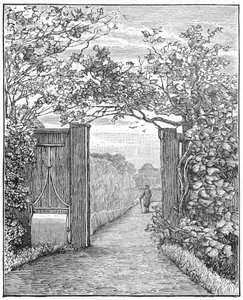 Charles Darwin hiekkakävelyllä Down Housessa, n. 1870 1887 tekijältä Unbekannt