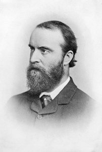 Charles Stuart Parnell, 1800-luvun irlantilainen poliitikko, 1874-1891 tekijältä Unbekannt