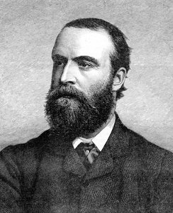 Charles Stuart Parnell, 1800-luvun irlantilainen poliitikko, 1874-1891 tekijältä Unbekannt