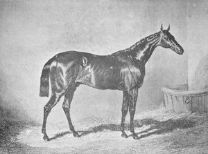 Kaarle XII, St. Legerin voittaja 1839, 1911 tekijältä Unbekannt