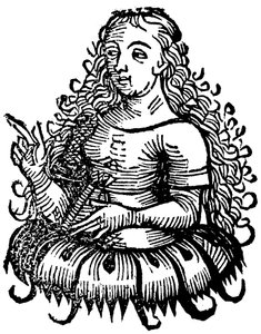 Cimmerian Sibylla, 1493 tekijältä Unbekannt