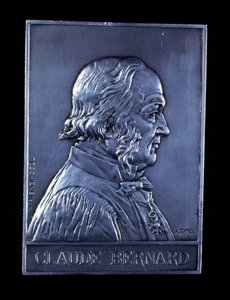 Claude Bernard, 1800-luvun ranskalainen fysiologi, 1913 tekijältä Unbekannt