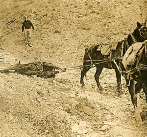 Taistelukentän puhdistaminen, c1914-c1918 tekijältä Unbekannt