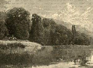 Cliefden Woods, 1898. tekijältä Unbekannt