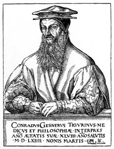 Conrad Gessner, sveitsiläinen luonnontieteilijä, 1887 tekijältä Unbekannt