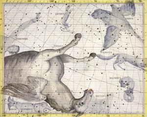 Pegasuksen tähdistö, 1729 tekijältä Unbekannt