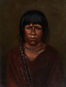 Cunivo Intialainen, n. 1890-1892. tekijältä Unbekannt