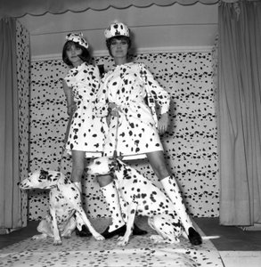 Dalmatialainen tila tekijältä Unbekannt