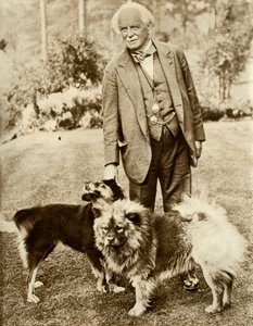 David Lloyd George, 1935. tekijältä Unbekannt