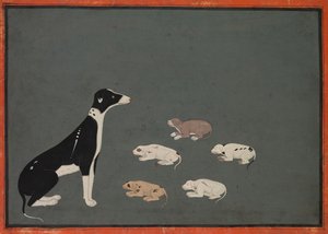 Gos amb cadells, c. 1780. finlandès tekijältä Unbekannt