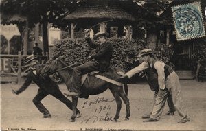 Aasi Tetu ja vastahakoinen - Postikortti vuodelta 1904 tekijältä Unbekannt