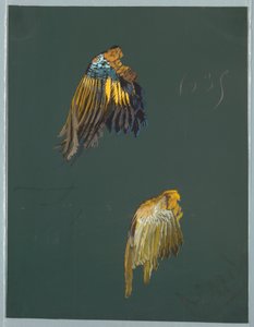 Piirustus Saint Germainista - 1. ja 2. osa tekijältä Unbekannt