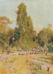 Elephants Piling Teak, 1924 tekijältä Unbekannt