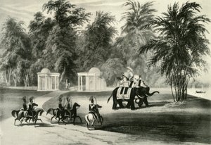 Elefantit ja ruumiinvartija Barrackpore Parkissa, 1820, 1925. tekijältä Unbekannt