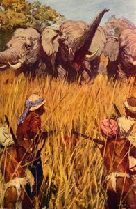 Elephants in Chase, c1850 c1912 tekijältä Unbekannt