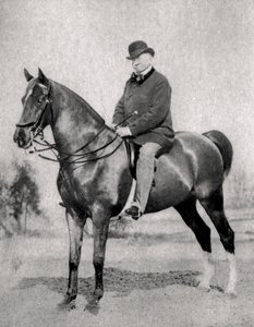 Emile de Girardin, ranskalainen toimittaja, publicisti ja poliitikko, 1866 tekijältä Unbekannt