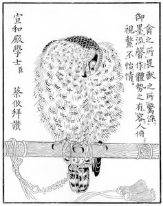 Falcon, 1886 tekijältä Unbekannt