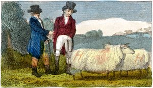 Viljelijät keskustelevat Dishley New Leicester -lampaista, 1822 tekijältä Unbekannt
