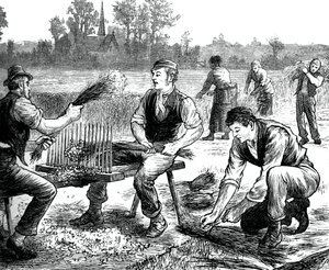 Pellavan aaltoilu, c1880 tekijältä Unbekannt
