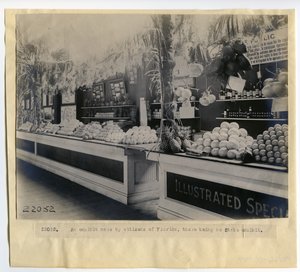 Floridan puutarhanäyttely puutarhanhoitopalatsissa vuoden 1904 maailmannäyttelyssä tekijältä Unbekannt