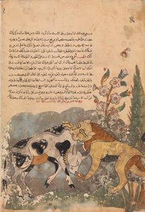 Folio Kalila wa Dimnasta, 1700-luku. tekijältä Unbekannt