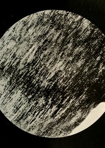 Fossiilinen puu hiekkakivessä, moreenista leveysasteella 85° etelään, c1908, 1909. tekijältä Unbekannt