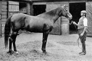 Foxhall, 1880-1904, 1911 tekijältä Unbekannt