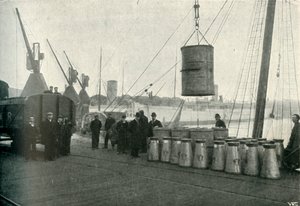 Ranskalainen maito puretaan Southamptoniin, 1902. tekijältä Unbekannt