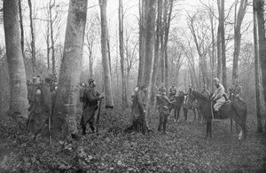 Ranskalaiset partiot Argonnen metsässä, Ranskassa, 1915 tekijältä Unbekannt