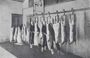 Pakastettu liha, 1923. tekijältä Unbekannt