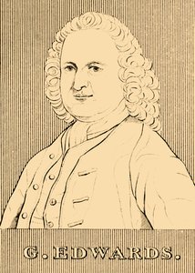 G. Edwards, 1694-1773, 1830. tekijältä Unbekannt