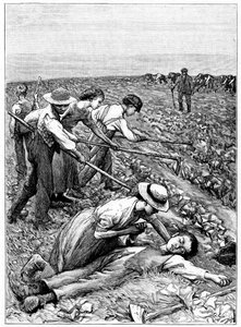 Lapsityövoiman jengijärjestelmä, c1885 tekijältä Unbekannt