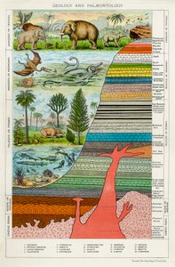 Geologia ja paleontologia, c1880 tekijältä Unbekannt