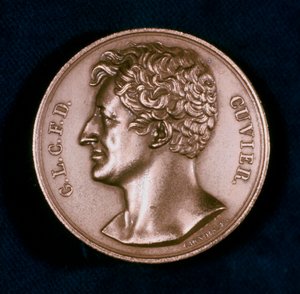 Georges Leopold Chretien Frederic Dagobert, paroni Cuvier, ranskalainen anatomi, 1800-luku tekijältä Unbekannt