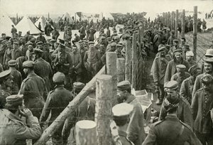 Saksalaiset vangit häkkeihin, 1919. tekijältä Unbekannt