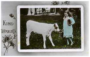 Tyttö lypsämässä lehmää, onnittelukortti, c1890-1910 tekijältä Unbekannt