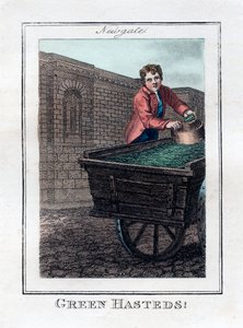 Green Hasteds, Newgate, Lontoo, 1805 tekijältä Unbekannt