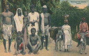 Terveisiä Jamaikalta. Coolies, 1900-luvun alku. tekijältä Unbekannt