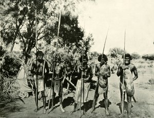 Aboriginaalimiesten ryhmä, Queensland, Australia, 1901. tekijältä Unbekannt