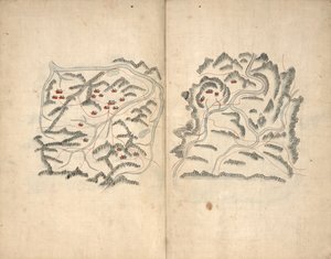 Haedong intohimo. Hosŏ chŏndo. tekijältä Unbekannt